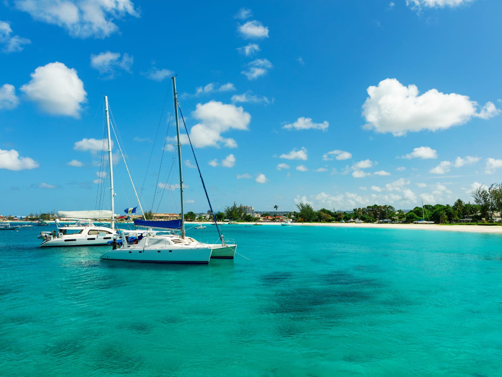 A catamaran moored in calm turquoise water off Barbados's West Coast